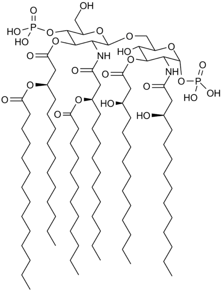 456px-Lipid_A.png