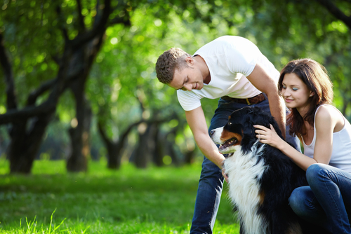 shutterstock_61391779.jpg