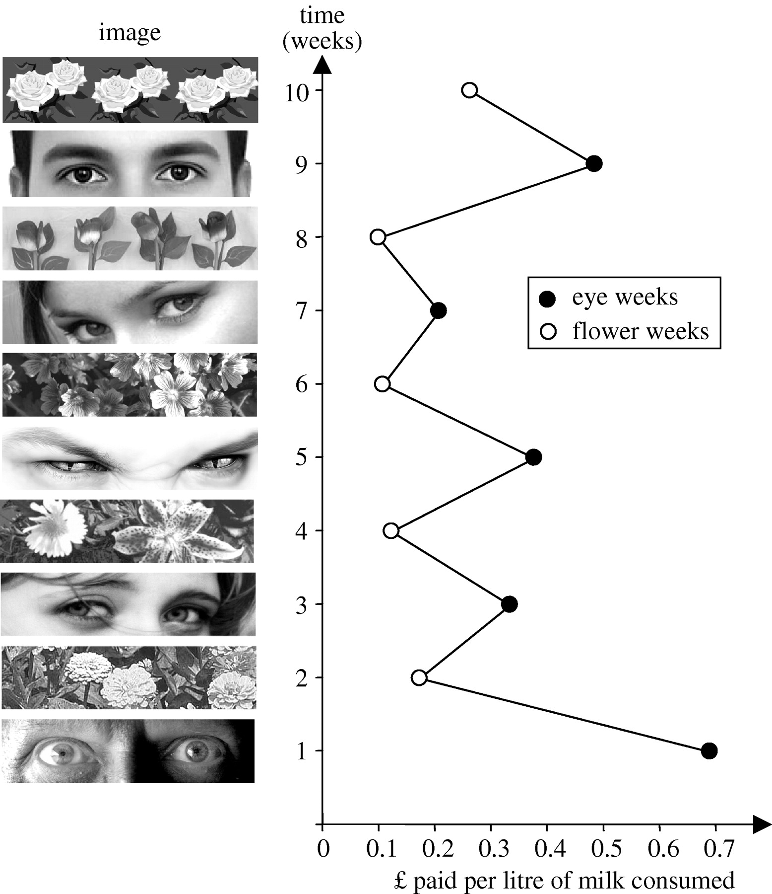 The World Would Be a Much Better Place If There Were Eyes Everywhere
